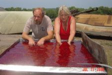 Alan and Cheryl washing cherries