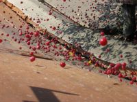 cherries falling