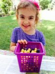 girl with basket of cherries