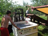 Washing cherries